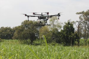 drone, fumigation, farming-2734212.jpg
